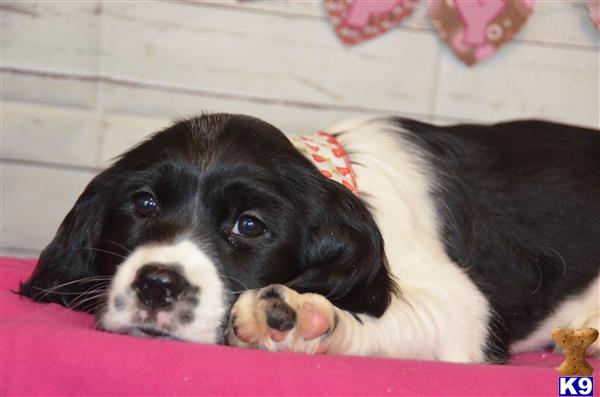 cnckinder Picture 3